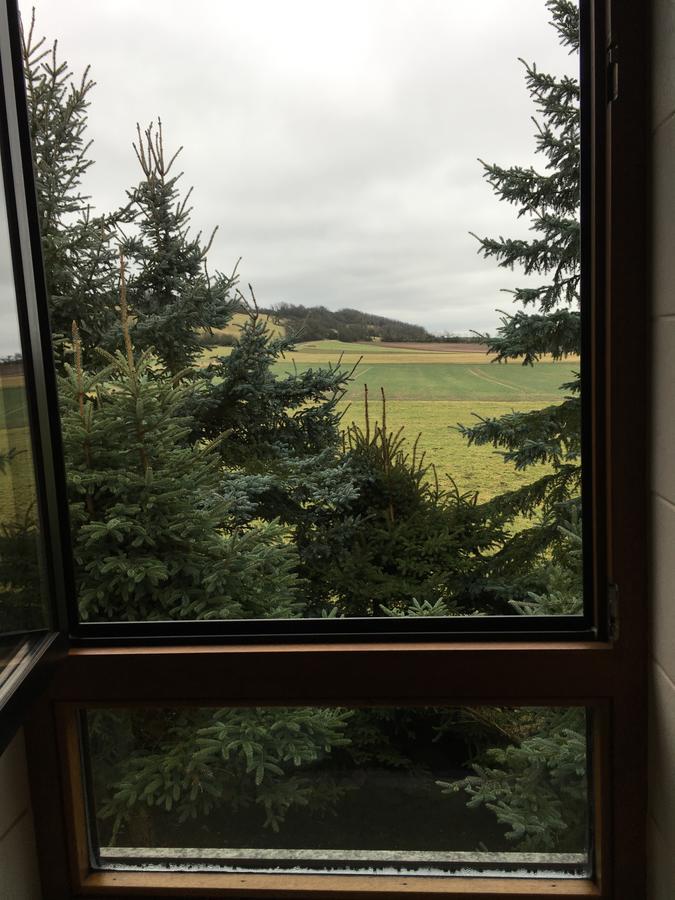 Gaestehaus Hannelore Geiselwind Kamer foto
